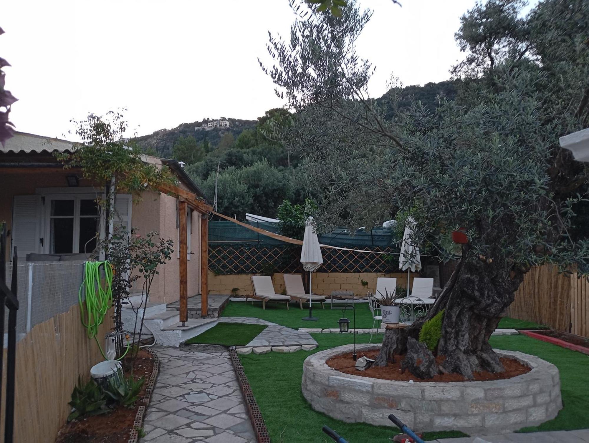 Olive Tree Villa Παλαιοκαστρίτσα Εξωτερικό φωτογραφία