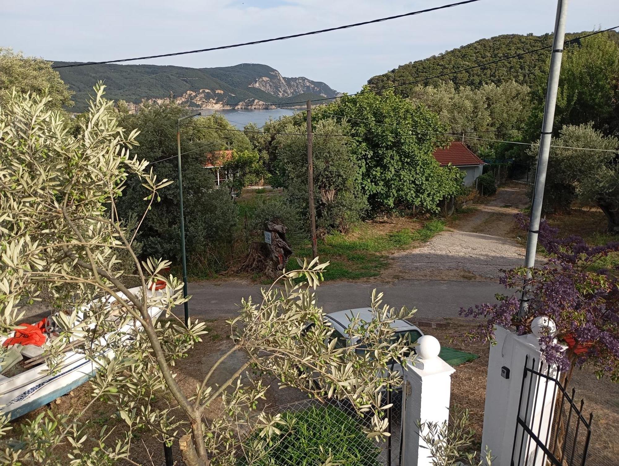 Olive Tree Villa Παλαιοκαστρίτσα Εξωτερικό φωτογραφία